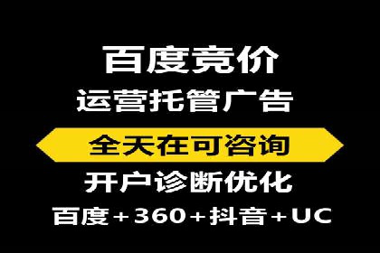 SEM托管服务案例：优化策略与效果展示